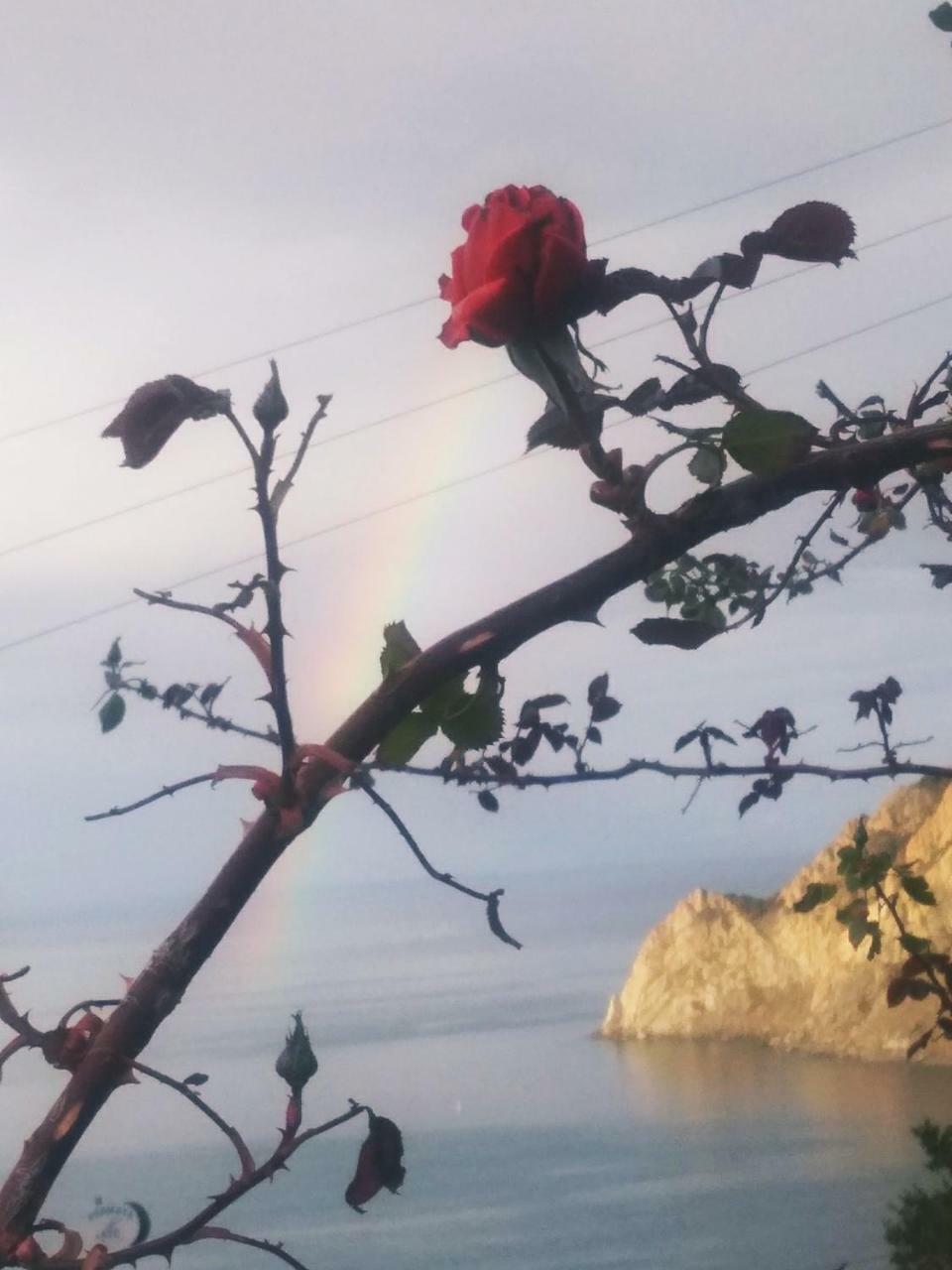 La Serra Sul Mare Monterosso al Mare Eksteriør bilde