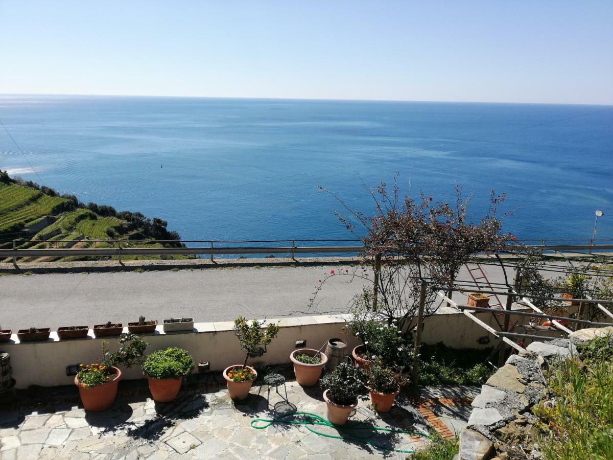 La Serra Sul Mare Monterosso al Mare Eksteriør bilde